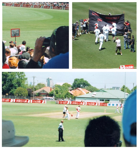 Windy hill Cricket montage